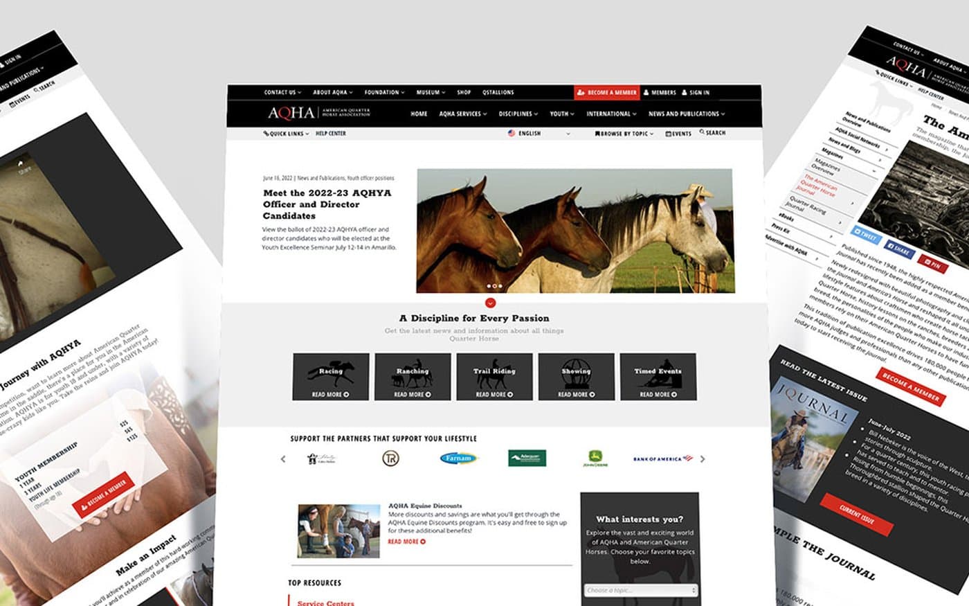 Three pages of the aqha.com Base22 built, shown in perspective on a grey background: “Become an AQHYA Member” with a video and youth membership prices, the homepage with “A Discipline for Every Passion” (racing, ranching, trail riding, showing, timed events), and The American Quarter Horse Journal page