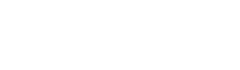 American Quarter Horse Association