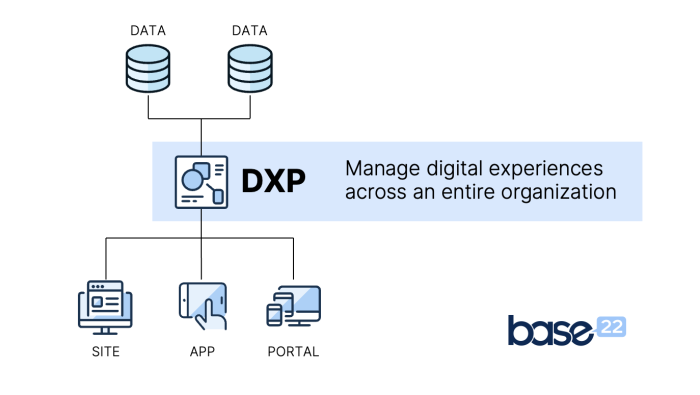 A graphic diagram of DXP architecture